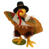 9in Pilgrim Turkey