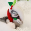 4in Holly Berry Kitty