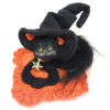 Moonlight Witch Cat