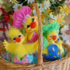 2016 Duckies