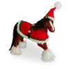 Clydesdale