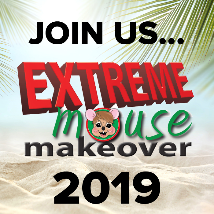 2019 Extreme Mouse Makeover