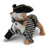 bulldog dressed as pirate