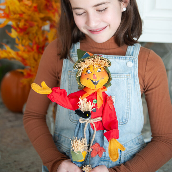 Annalee Dolls | Collectible Heartfelt Gifts And Decorations