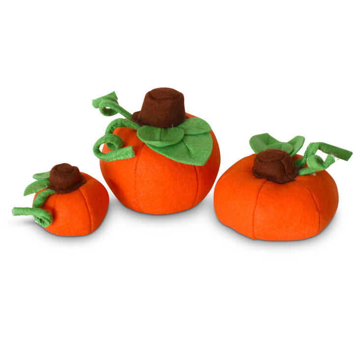 362023 Set of Pumpkins-WEB