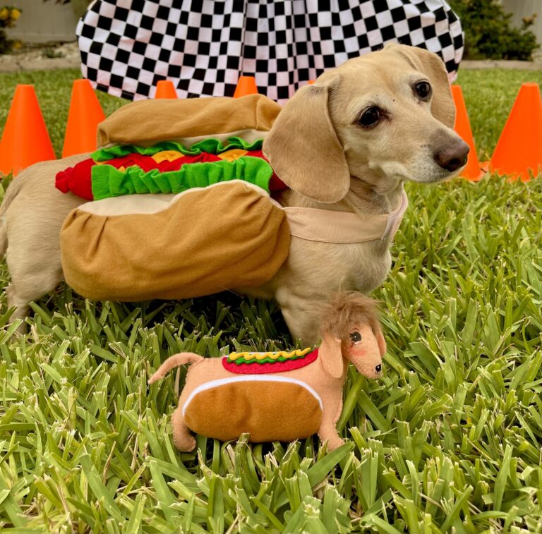 2025 Summer Games Photo Contest Winners