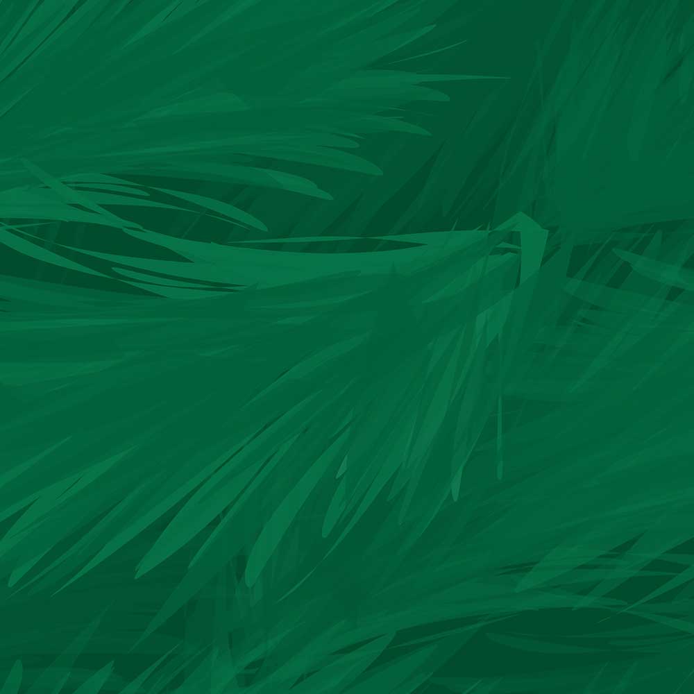 Christmas Crazy Sale