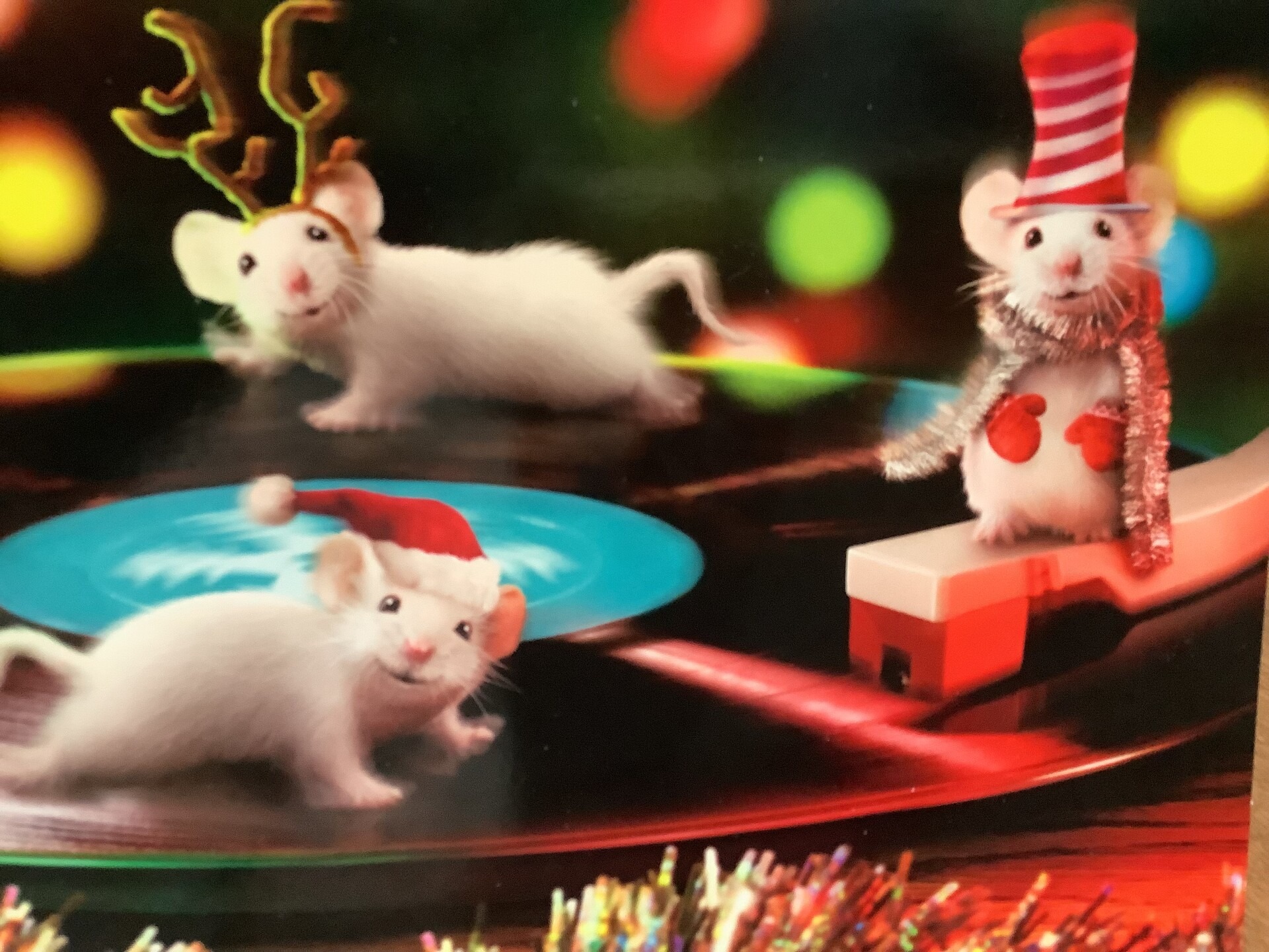 L. Parker - Christmas Mice Entry